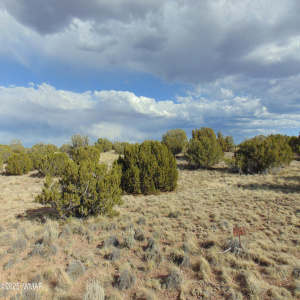 38 Gila Dr Glen Rushing 6.23 listing (9)