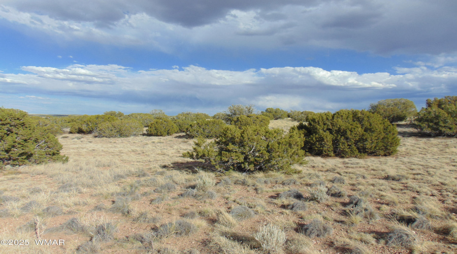 38 Gila Dr Glen Rushing 6.23 listing (10