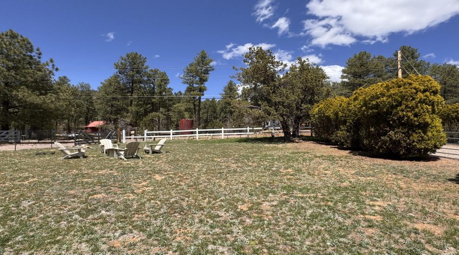 3 - Front Yard