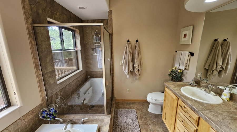 Master Bathroom 2