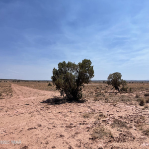 8191 E. Snowflake Concho Highway