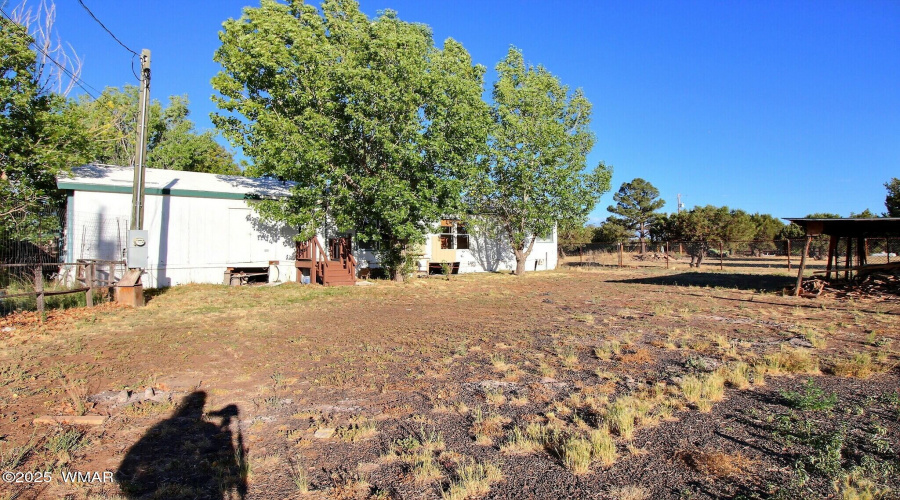Back yard