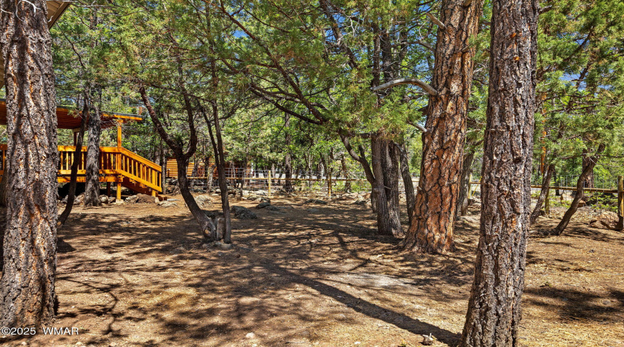 222LongLeafDr-Pinetop-AZ-30