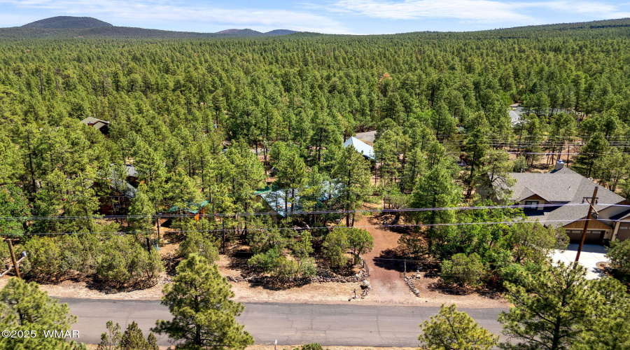 222LongLeafDr-Pinetop-AZ-33