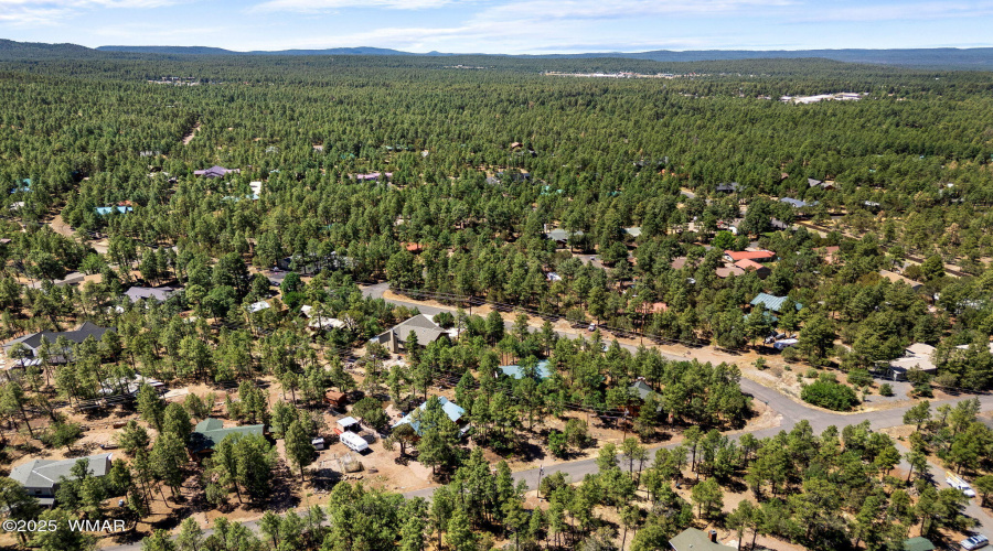 222LongLeafDr-Pinetop-AZ-37