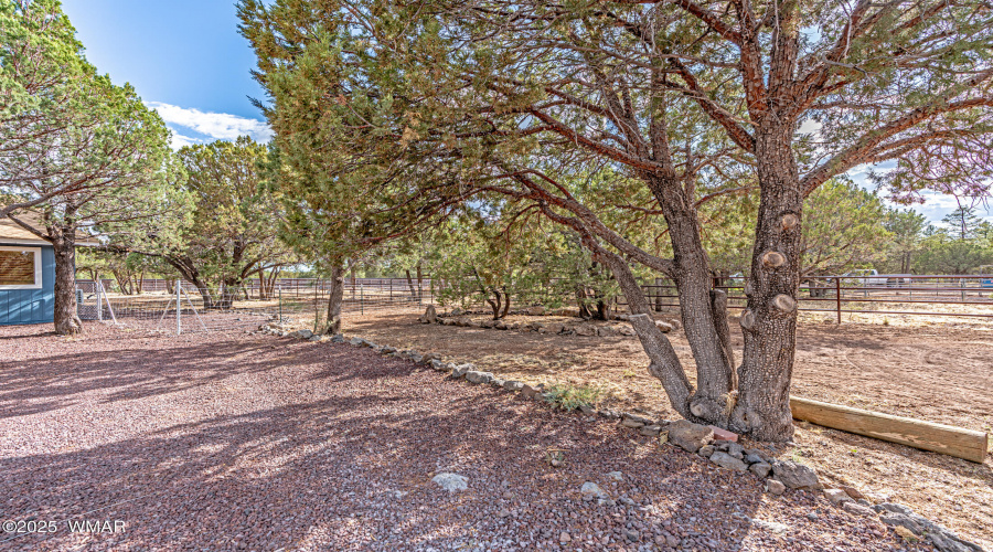 _DSC3341-HDR-Edit
