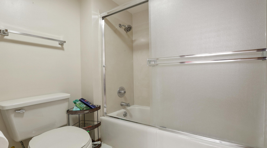 Master Bathroom (2)