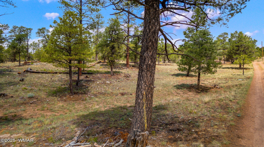207-18-007H-HeberOvergaard-AZ-1