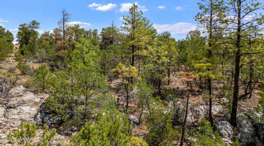 207-18-007H-HeberOvergaard-AZ-2