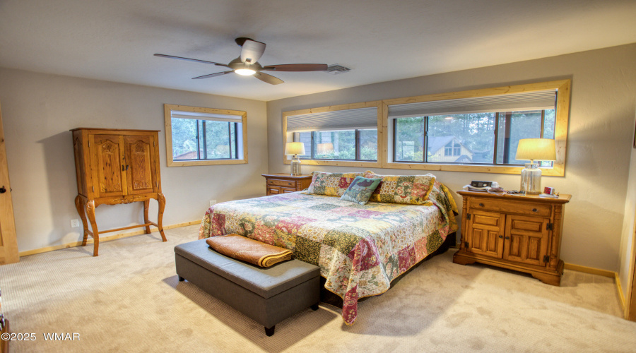 3451 Roaring Fork Drive, Pinetop