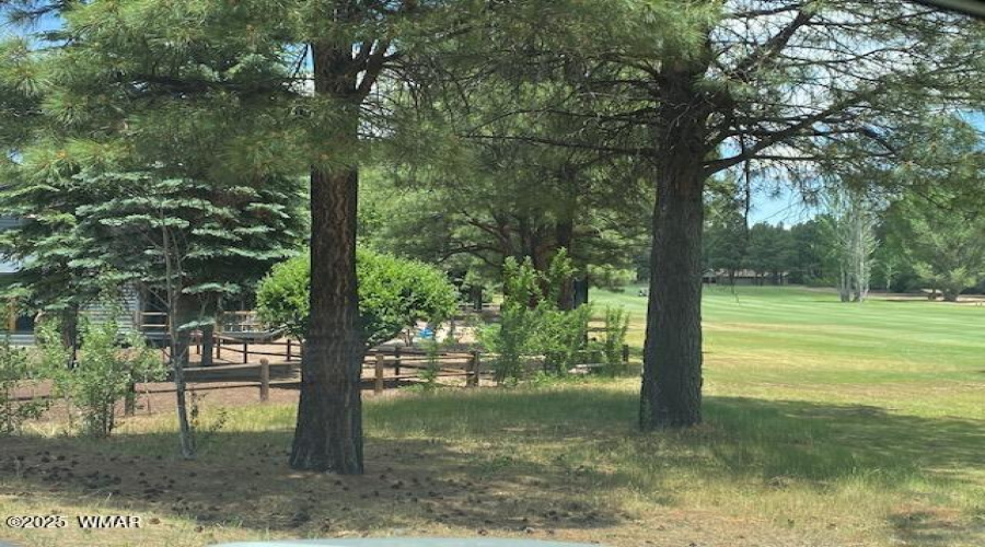 3451 Roaring Fork Drive, Pinetop