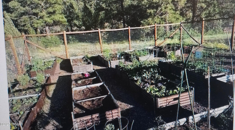 tatanka garden