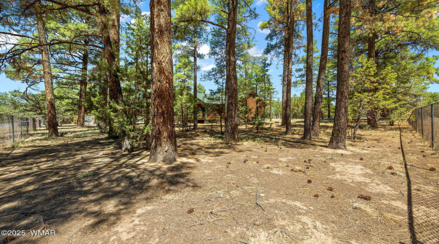 2860MooseTrl-Heber-AZ-22