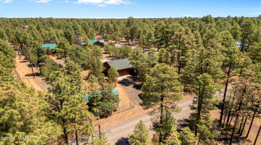 2860MooseTrl-Heber-AZ-27