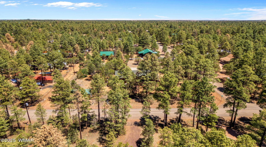 2860MooseTrl-Heber-AZ-31