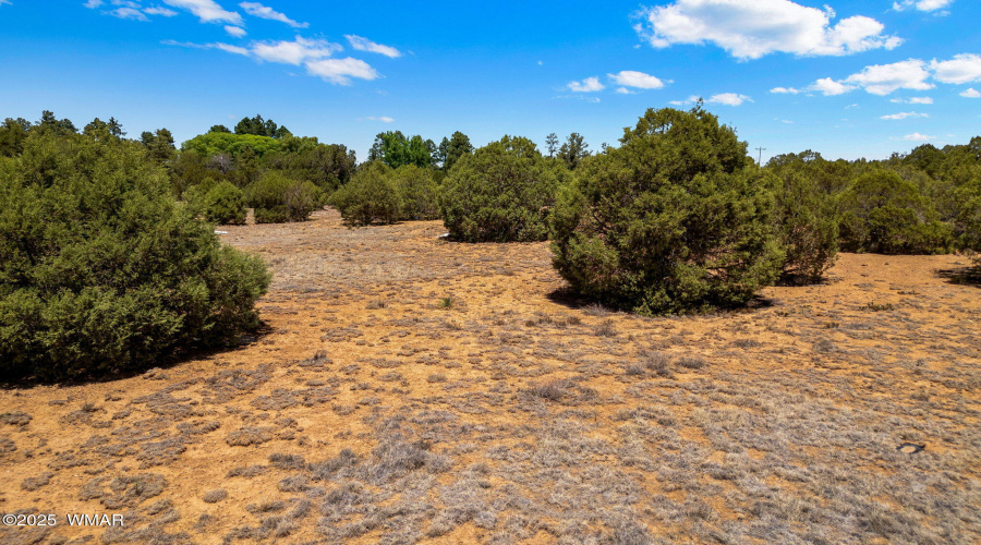 7104AZ260-ShowLow-AZ-13