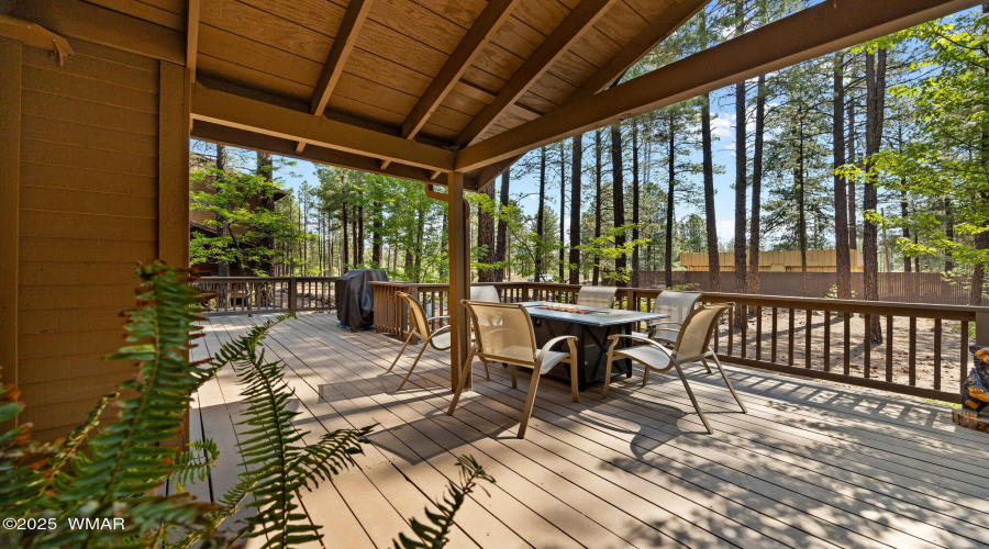 Back Deck