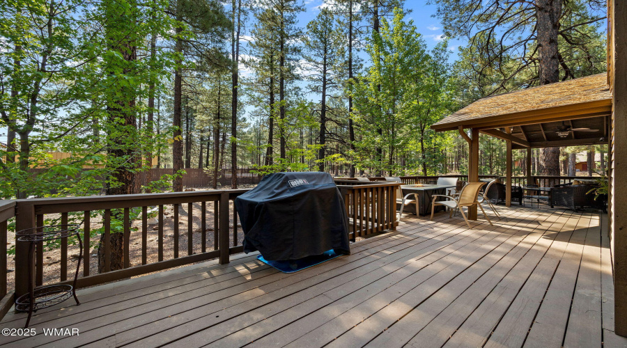 Back Deck in the Trees