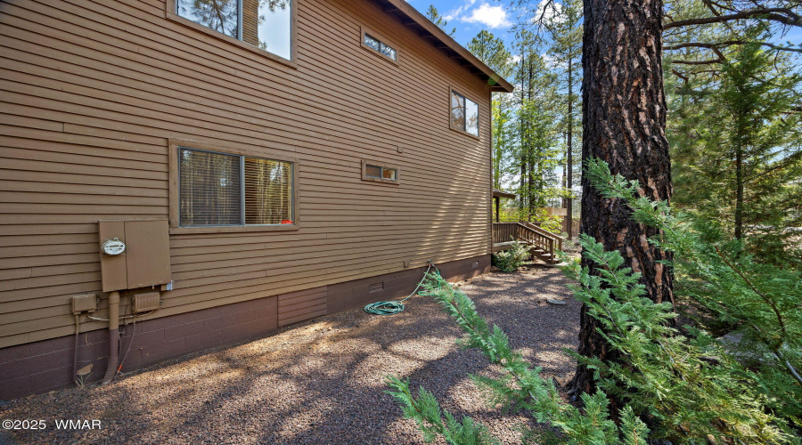 Side Yard