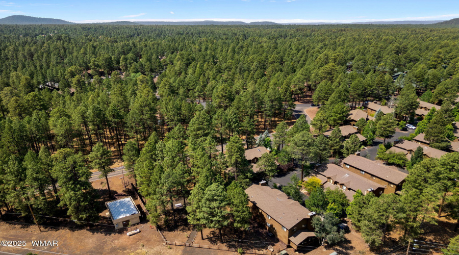 Aerial View of Neighborhood