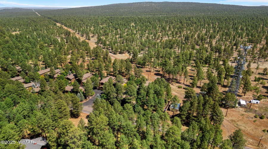 Aerial View of Community & Nat'l Forest