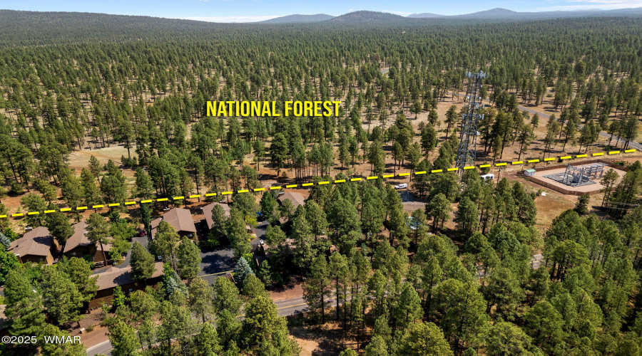National Forest Line