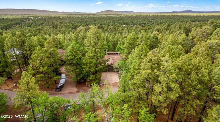 6502CinderMountainDr-Pinetop-AZ-47