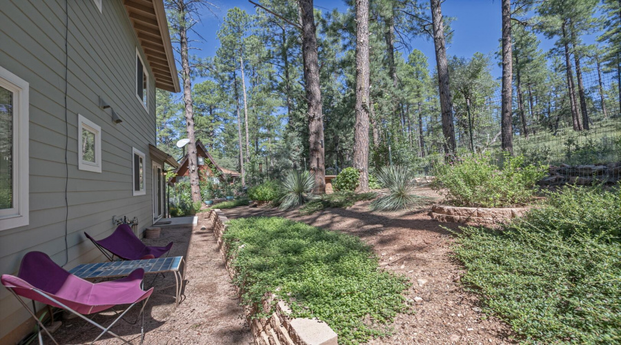 Backyard B