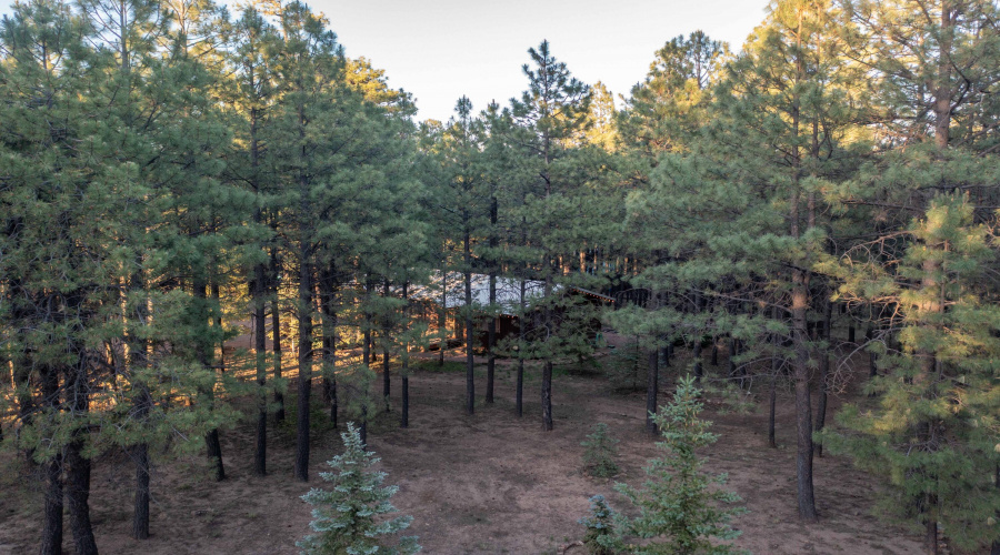 DJI_0295