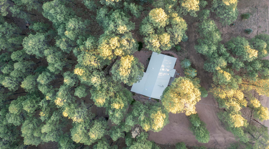 DJI_0307