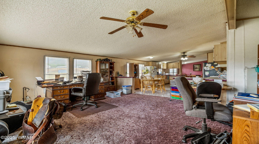 25350US191-Alpine-AZ-12