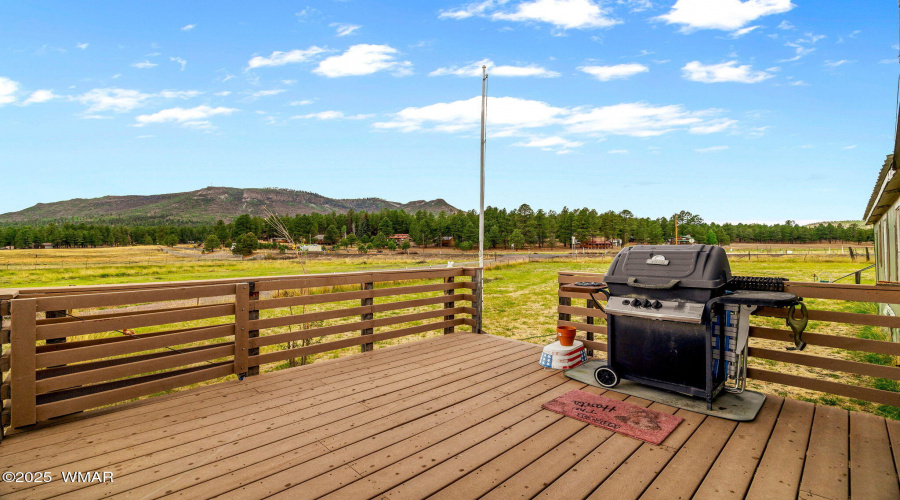 25350US191-Alpine-AZ-3