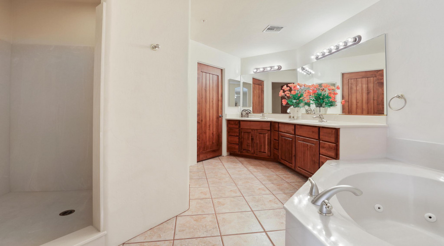 #29 Downstairs Master Bath