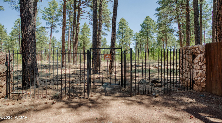 National Forest Access