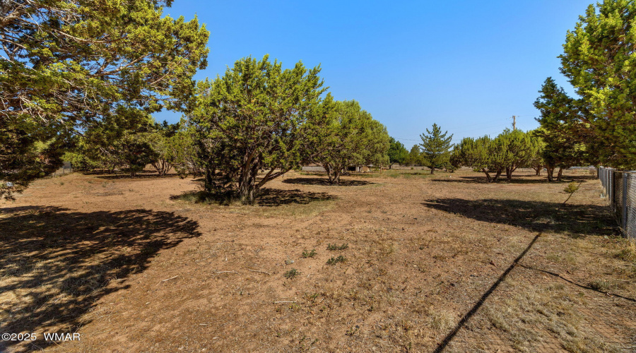 1276LonePineDamRd-ShowLow-AZ-36