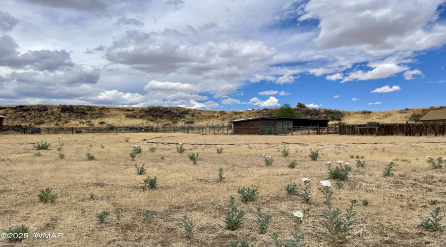 183 Becker Lake, Springerville