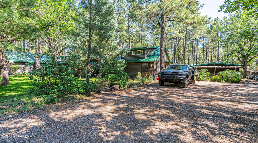 Front yard