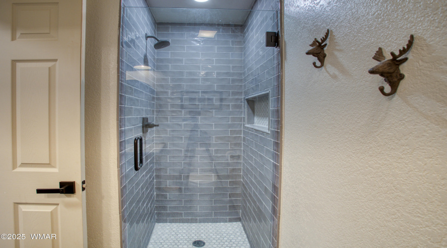 Guest Shower