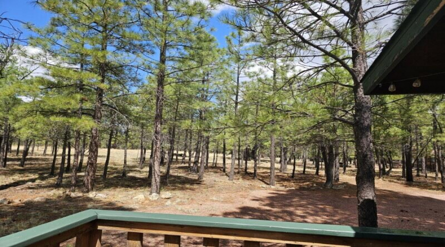 Heavily Wooded