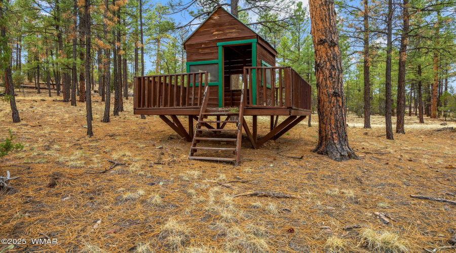 2353FlorianMdwTrl-Heber-AZ-36
