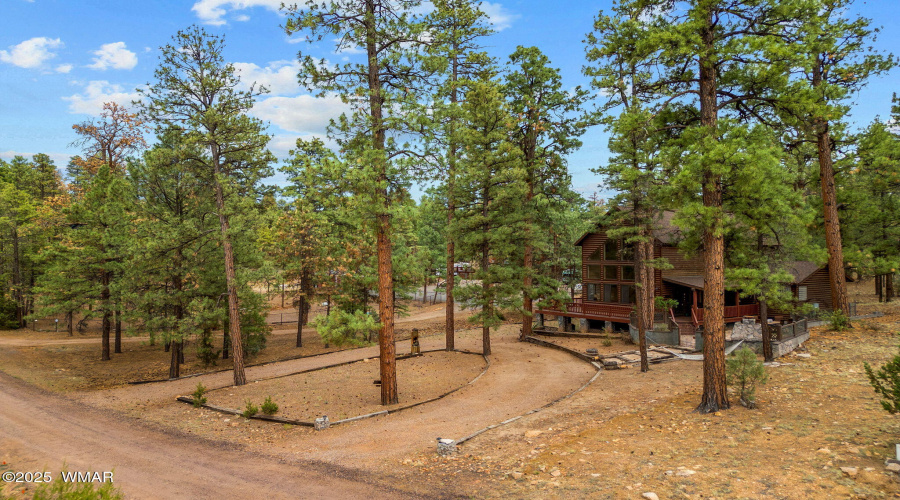 2353FlorianMdwTrl-Heber-AZ-38