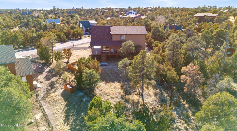 42-Aerial Back