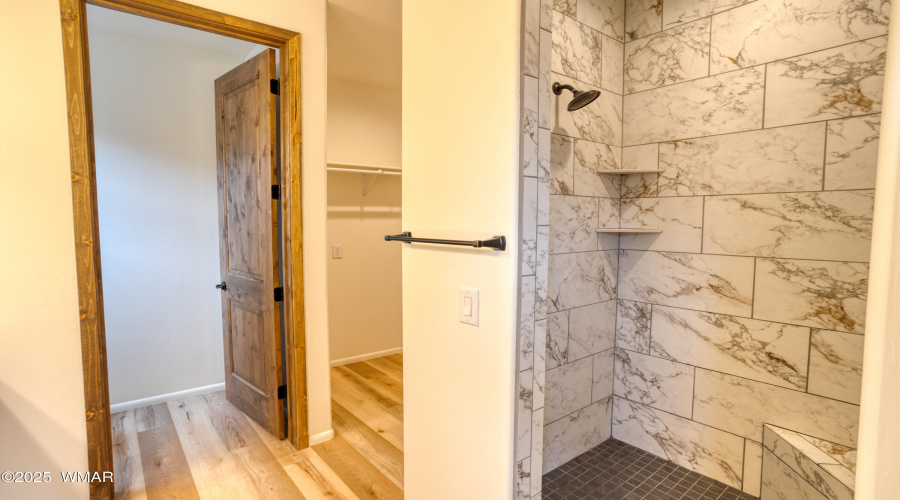 Primary Shower