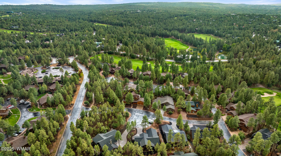 Aerial