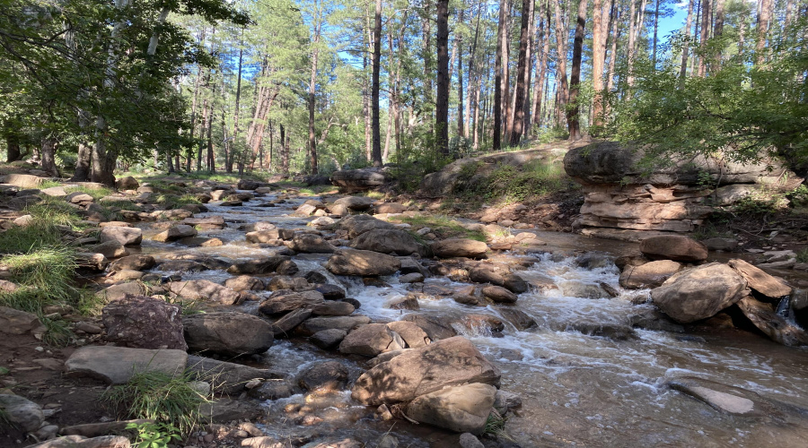 Bonita Creek
