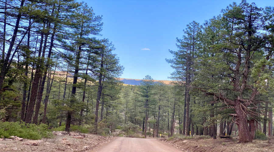 Road