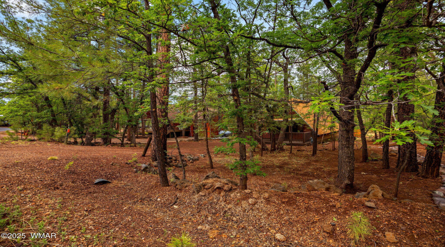 3834TurkeyTrackRd-Pinetop-AZ-3