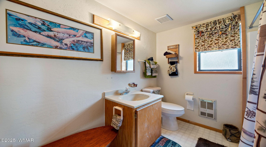 3834TurkeyTrackRd-Pinetop-AZ-17