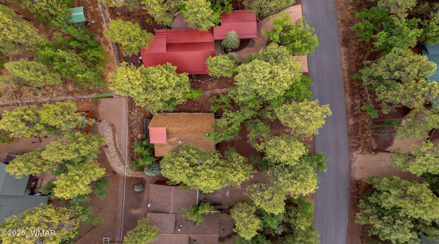 3834TurkeyTrackRd-Pinetop-AZ-26