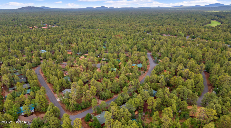 3834TurkeyTrackRd-Pinetop-AZ-27